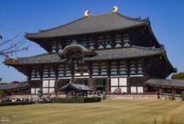 Japan_Autumn_2025 (4/47)